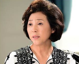 おすすめ韓国ドラマ 上流社会 韓国女優コドゥシムの変身 ヘアスタイルでわかるその 階級 韓国ドラマ 伝説の魔女 から財閥夫人へ 韓国ドラマで韓国go